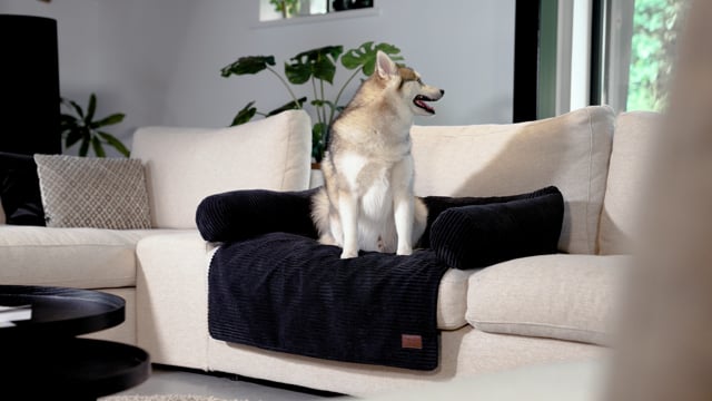 Couchkissen Hund Ribbed