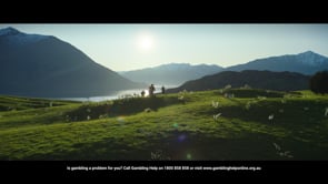 Ladbrokes - Spring