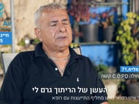 אמנון מליח
