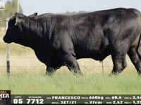 Lote 05