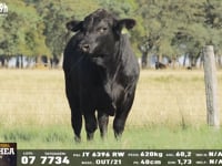 Lote 07