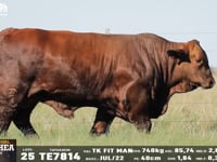 Lote 25