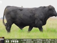 Lote 32