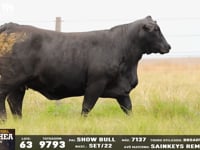 Lote 63