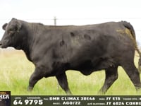 Lote 64