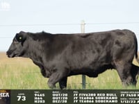 Lote 73