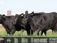 Lote 72