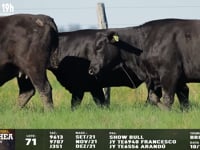 Lote 71