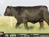 Lote 70