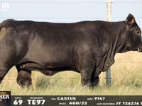 Lote 69