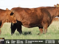 Lote 76