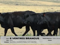 Lote 80