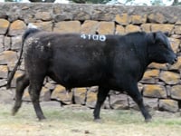 Lote 58