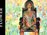 PHOTO ART PROJECTion 9 – Flower