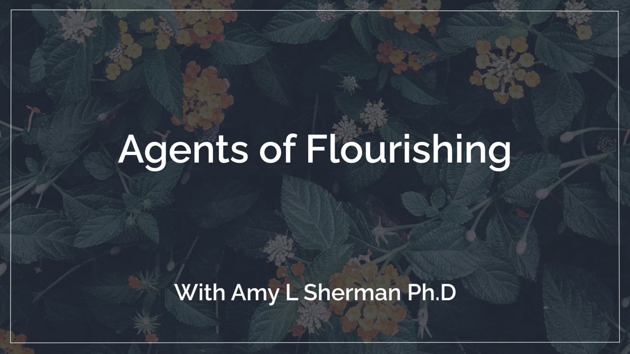 Agents of Flourishing, Amy Sherman General Session