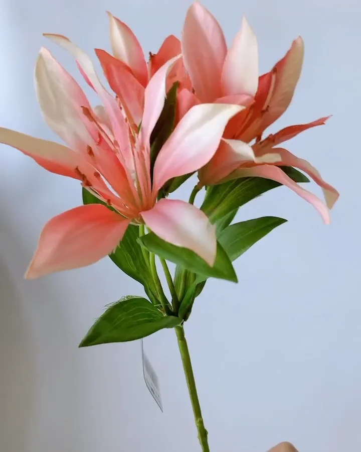 ｵﾘｴﾝﾀﾙﾘﾘｰ: 造花（アーティフィシャルフラワー） ｜ YDMオンライン