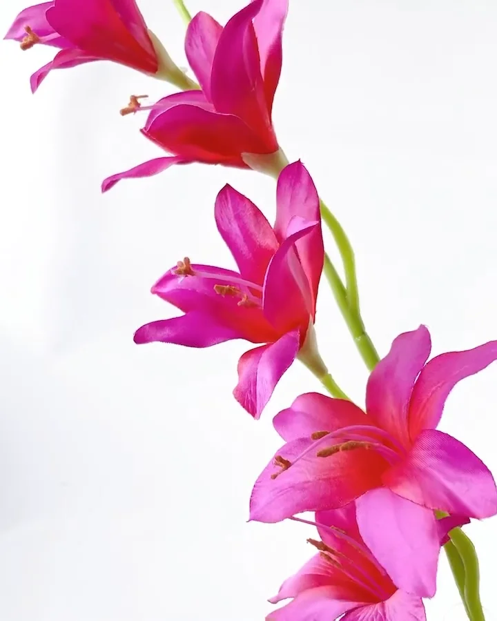 ﾜﾄｿﾆｱ: 造花（アーティフィシャルフラワー） ｜ YDMオンラインストア