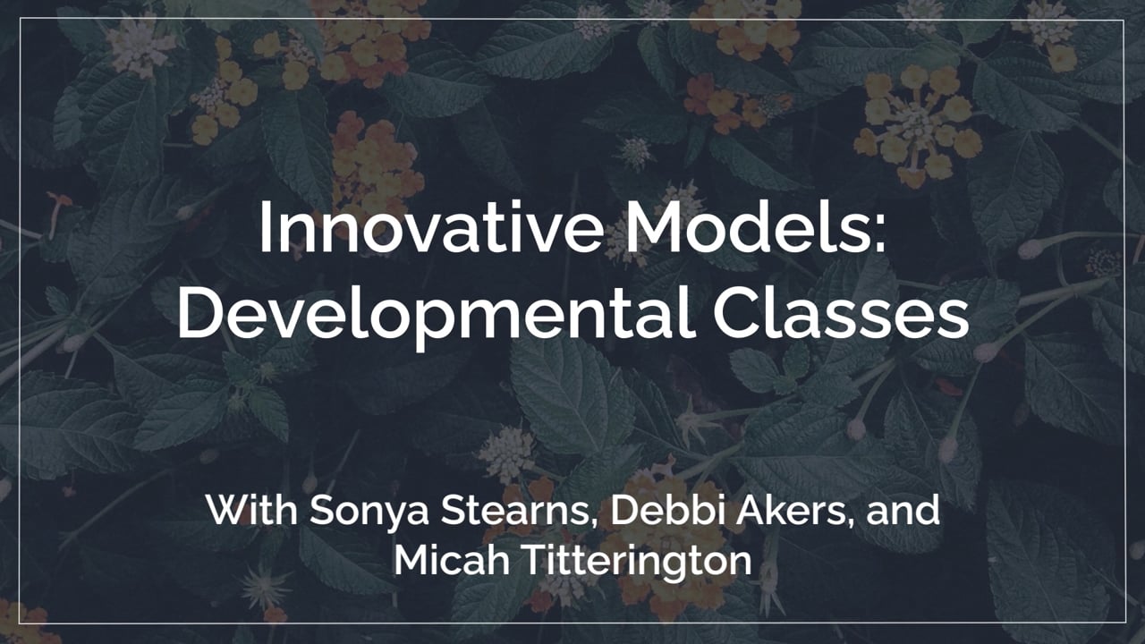 Developmental Classes (Innovative Models)
