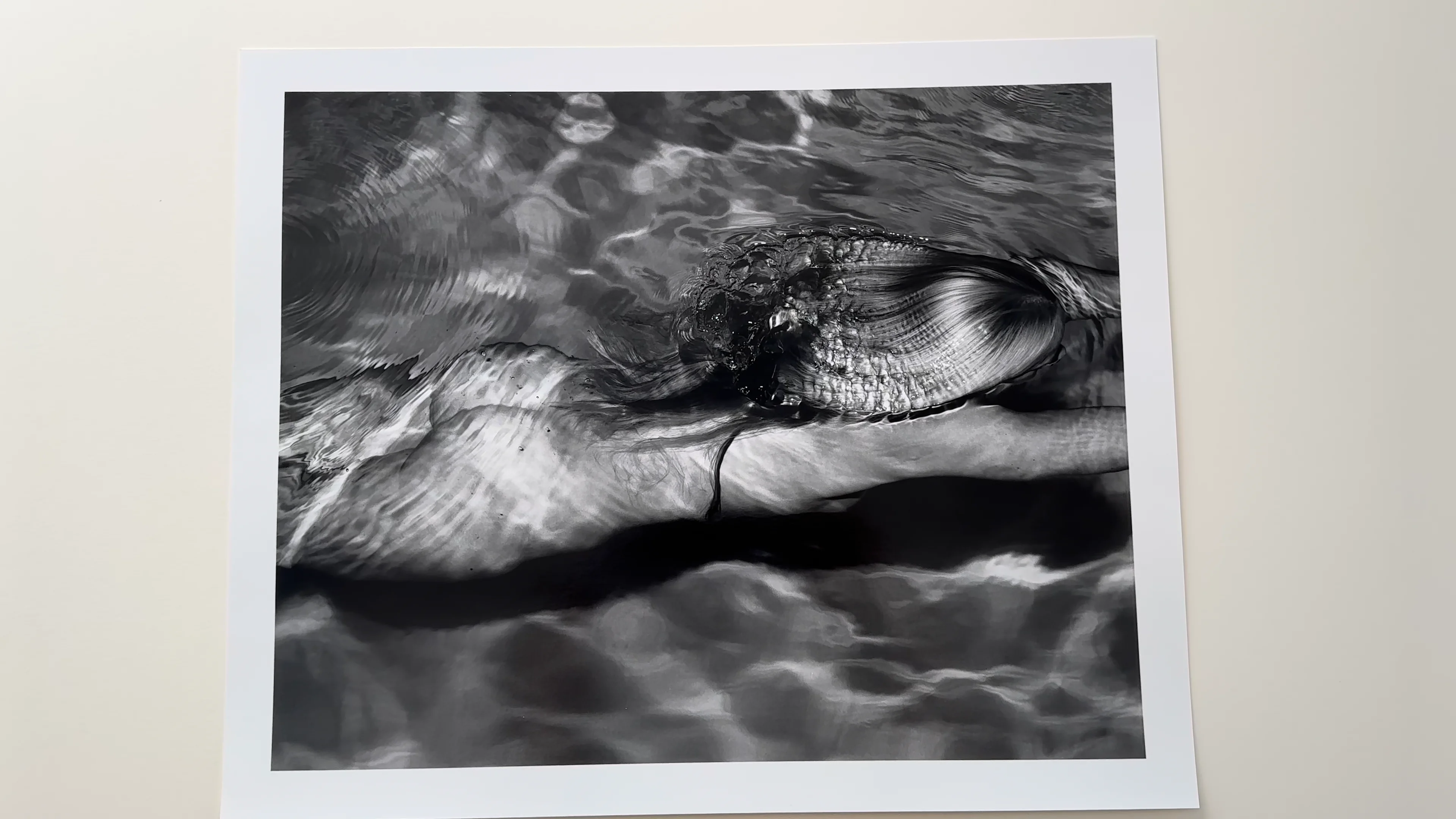 Michael Dweck | Mermaid 1 - Photography West