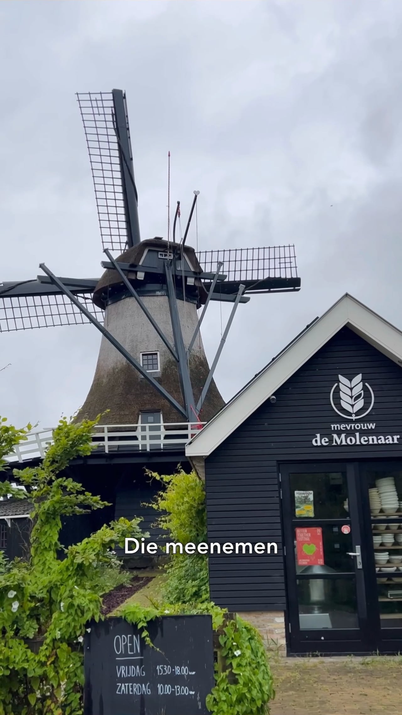 Van Friese bodem #2