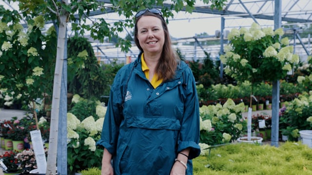 Deer Resistant Shrubs for Sun & Shade