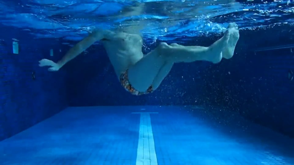 Leg Power Dolphin Flicks