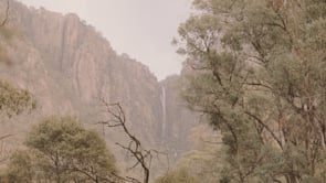 Nature Saunas by Haut Hutt