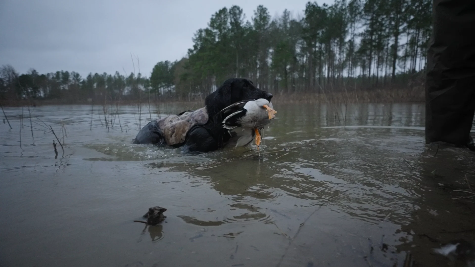 Duck Hunting at SouthWind Plantation on Vimeo