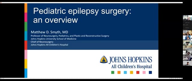 Pediatric Epilepsy Surgery: An Overview