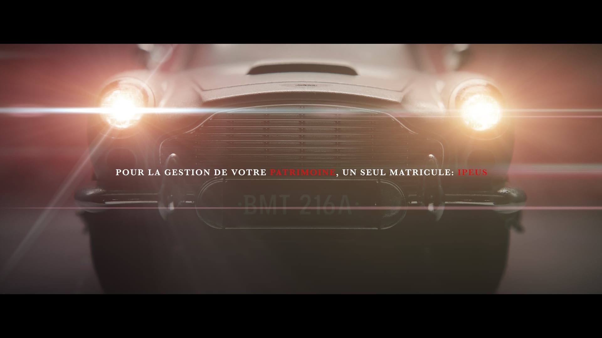 IPEUS PATRIMOINE - LE MATRICULE
