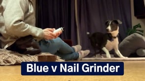 Blue V Nail Grinder
