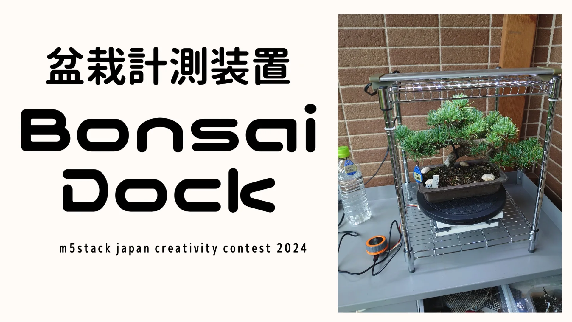 盆栽計測装置「Bonsai Dock」をご紹介いたします｜BonitoBonsai大好き！