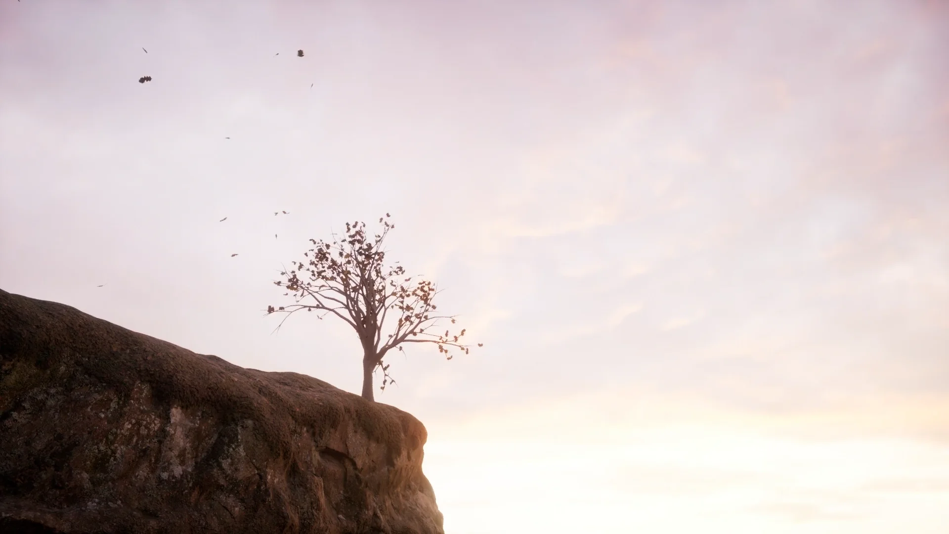 TREE LEAVES FALL on Vimeo