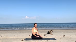 Related Embedded Video Item Thumbnail