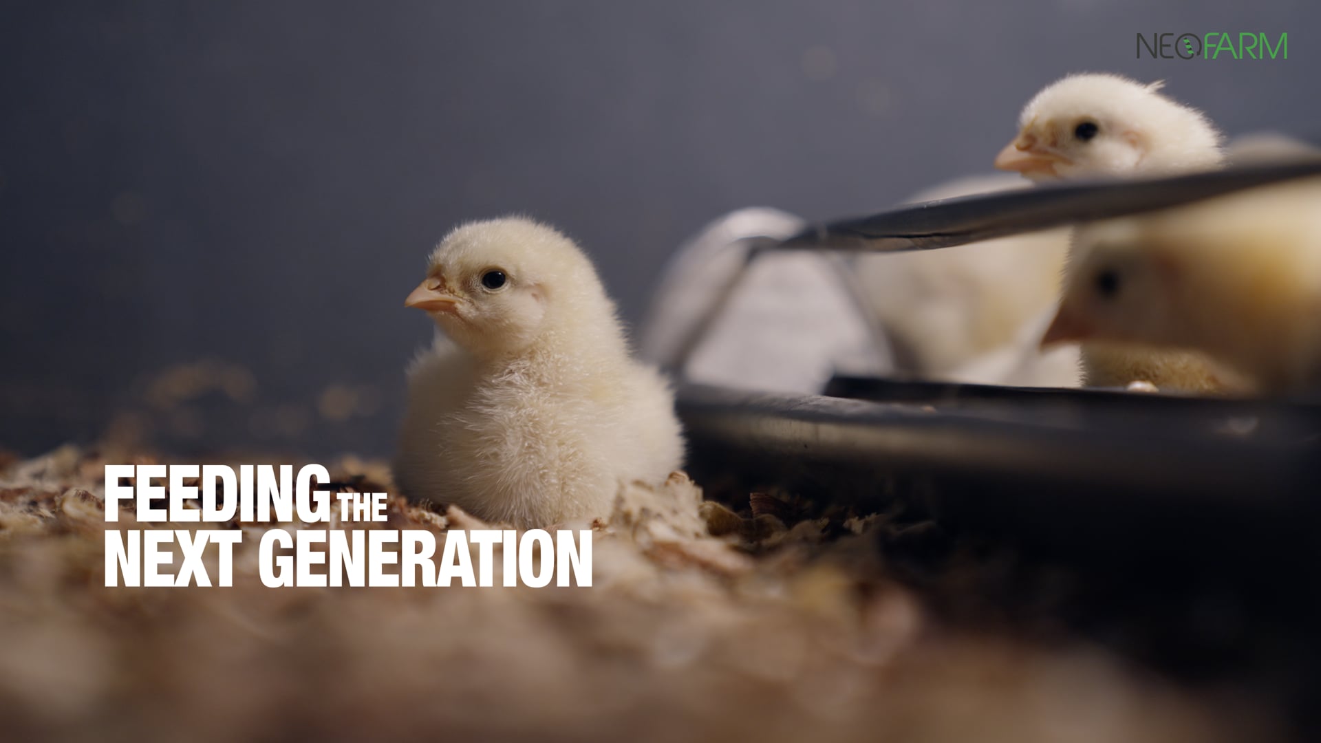 Nourrir la prochaine génération – Film institutionnel de NeoFarm / Feeding the Next Generation - Neofarm Corporate Film