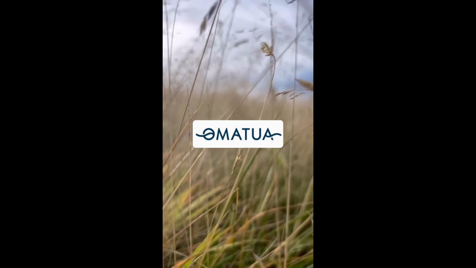 Video Preview - 0