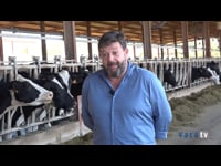 Los servicios de Nanta en la ganadería