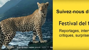 77ᵉ Festival de Locarno: Toute la couverture