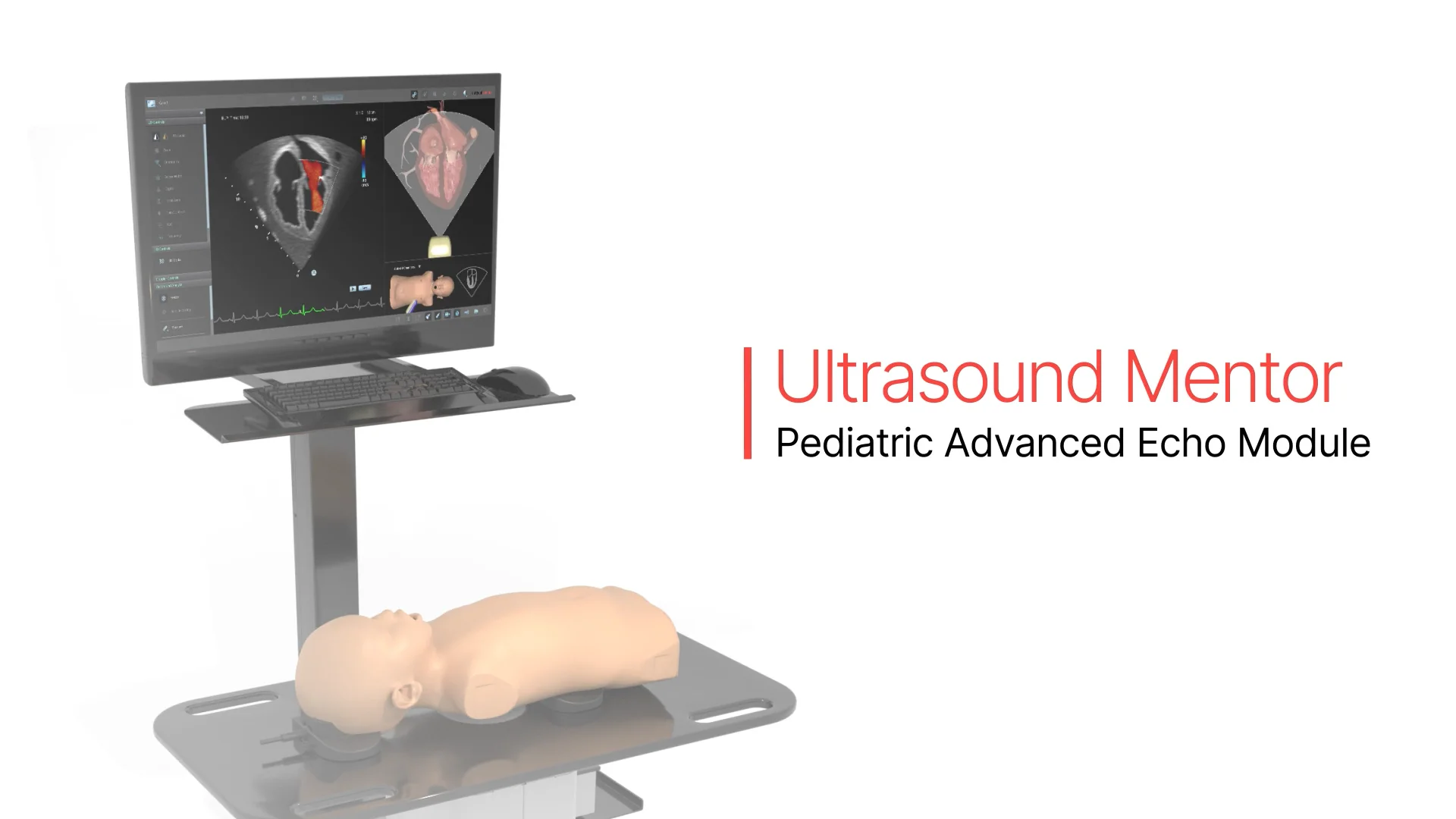 echoページ Pediatric Advanced Echo Module - Surgical Science