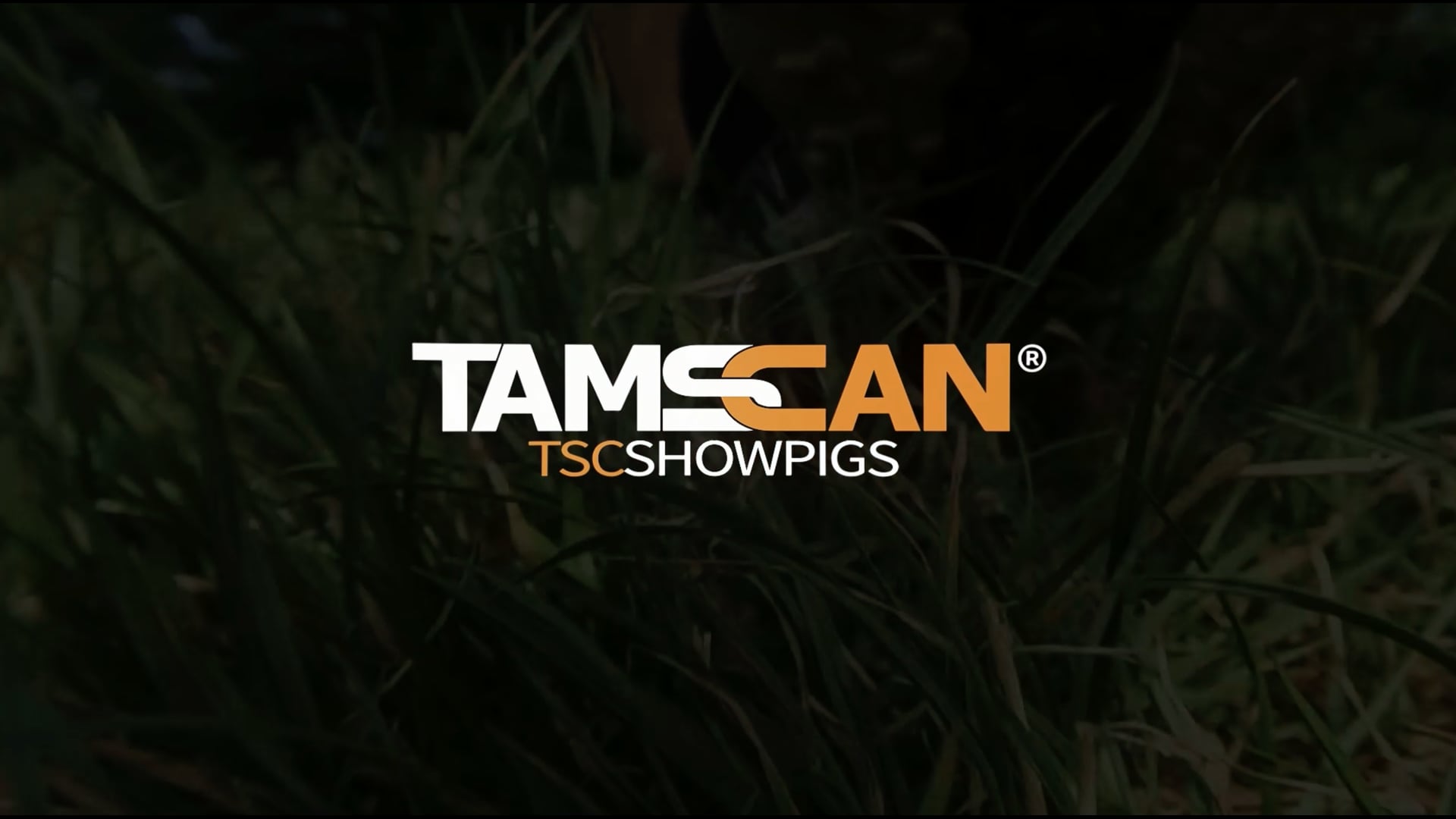 Our Story | TamsCan