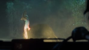 Related Embedded Video Item Thumbnail