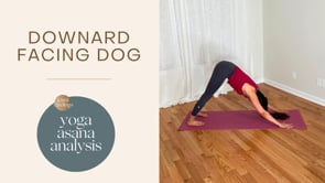 Downward Dog – Yoga Asana Analysis