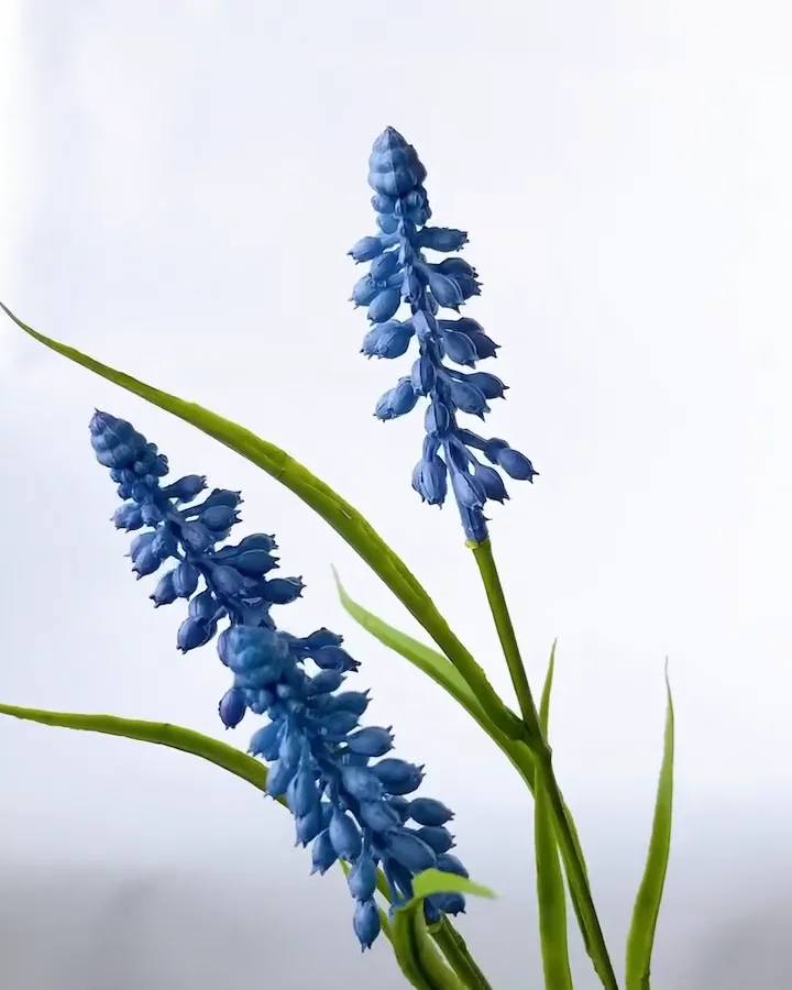 ﾑｽｶﾘｽﾌﾟﾚｰ: 造花（アーティフィシャルフラワー） ｜ YDM