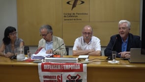 Stop  Macro Parc Eòlic explica les alegacions al PLEMCAT i la demanda al Suprem