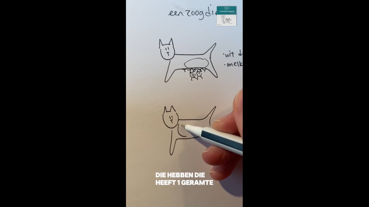 Zoogdier (het)*