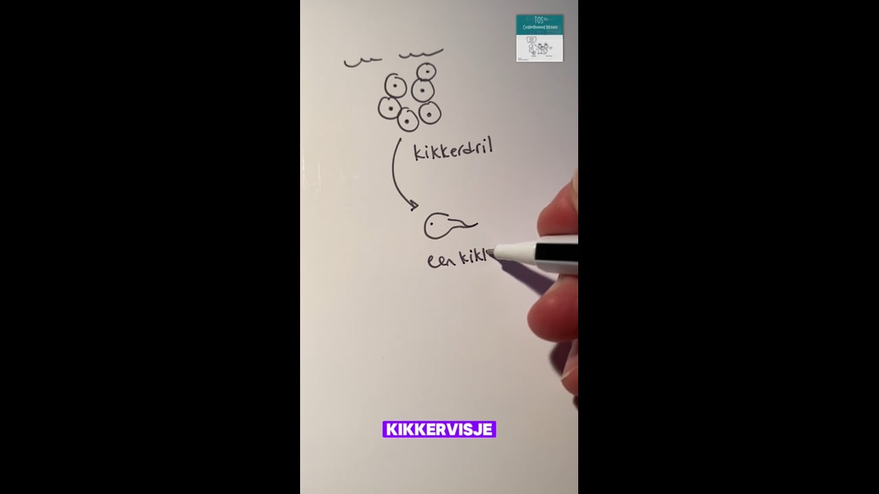 Kikkervisje (het)*, het kikkerdril, de kikker