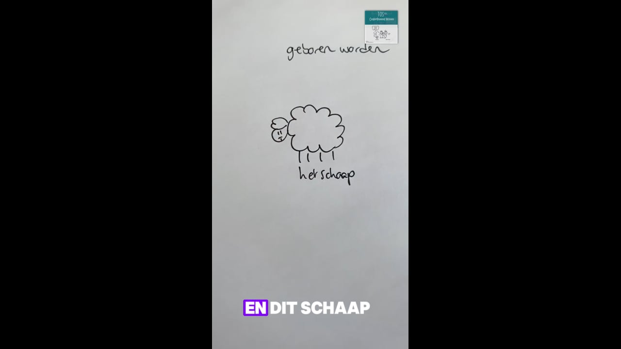Geboren worden*, het schaap
