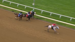 Glengarry | 2024 Lafayette Stakes