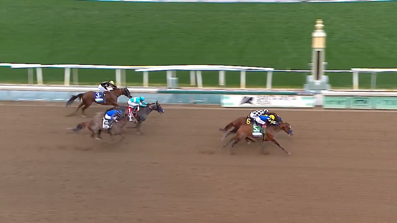 Newgate | 2024 Santa Anita Handicap (G1)