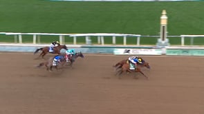 Newgate | 2024 Santa Anita Handicap (G1)